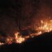Пожар вилнее в 1500 декара гора край Девин