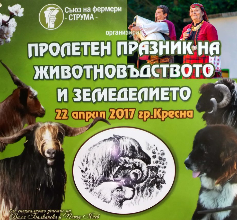 Валя Балканска гостува на пролетния празник в Кресна тази събота