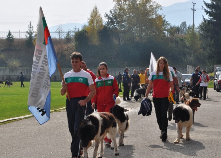 Razlog 2