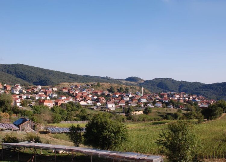 Ribnovo