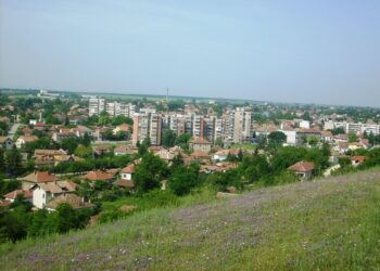 Общинско земеделско дружество заработва в Кнежа