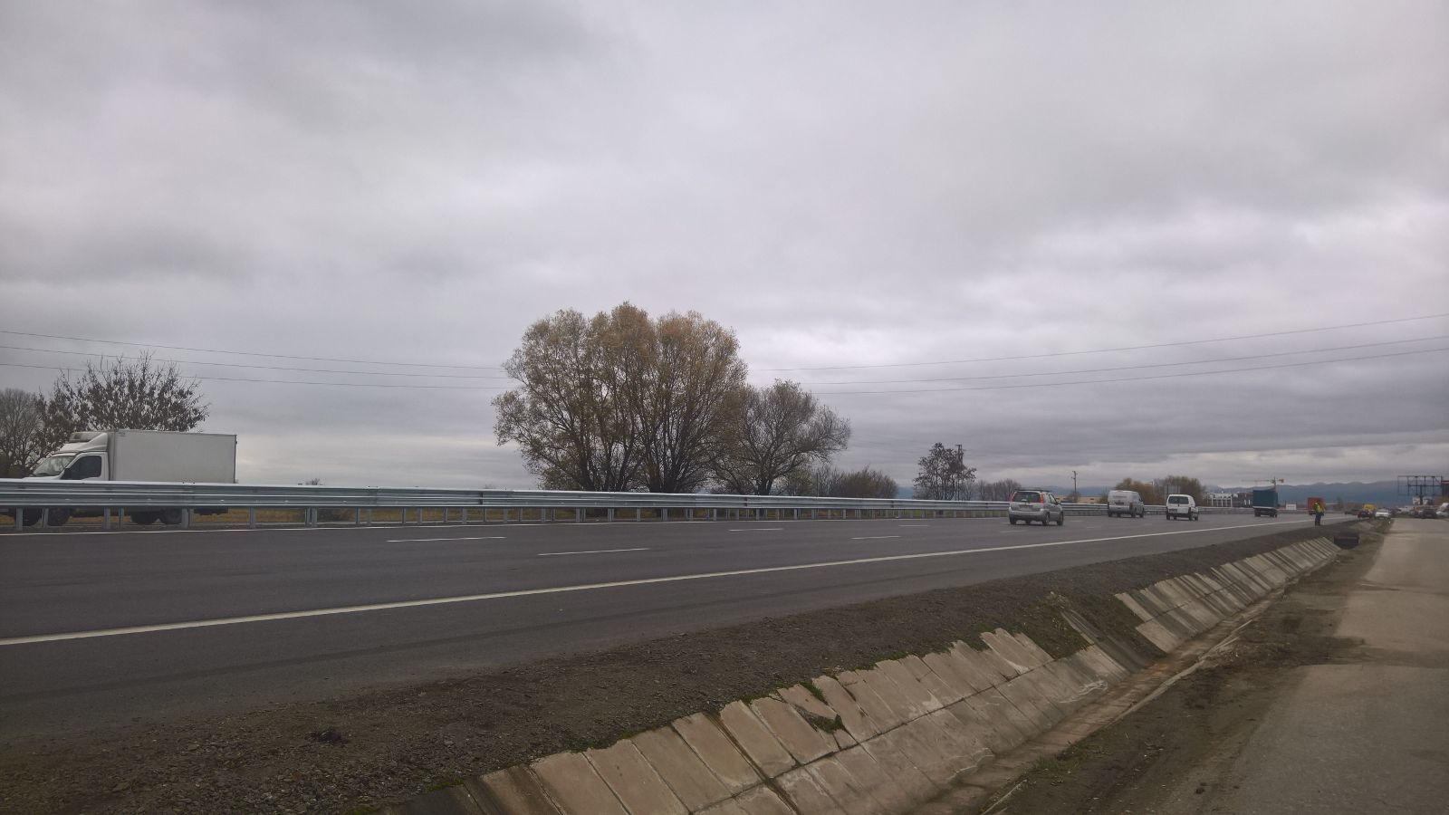 Вандали посегнаха на акациите на Околовръстното в София