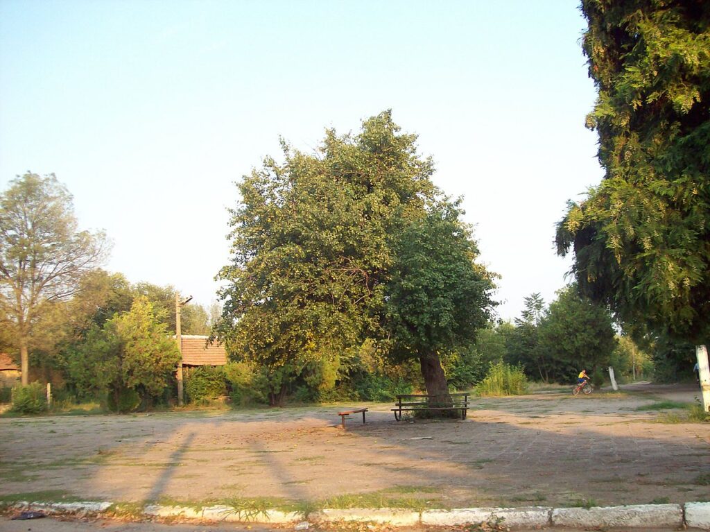 Stanevo