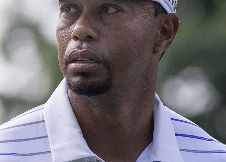 Tiger Woods June 2014 cropped