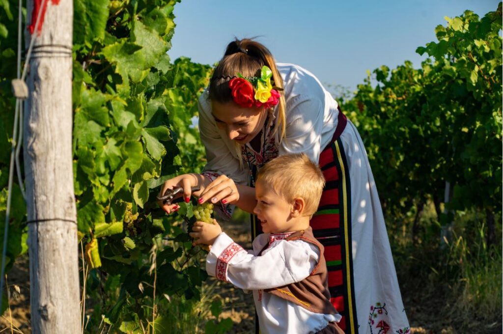 Със самодейци и водосвет започна гроздоберът в Типченица 3 Tipchenitsa Grozdober 2020 01