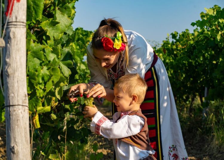 Със самодейци и водосвет започна гроздоберът в Типченица 1 Tipchenitsa Grozdober 2020 01