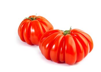BILLA спечели 5 награди “Продукт на годината” 2020