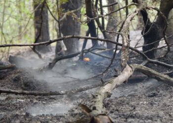Пожар на площ от 30 дка горя на Шуменското плато