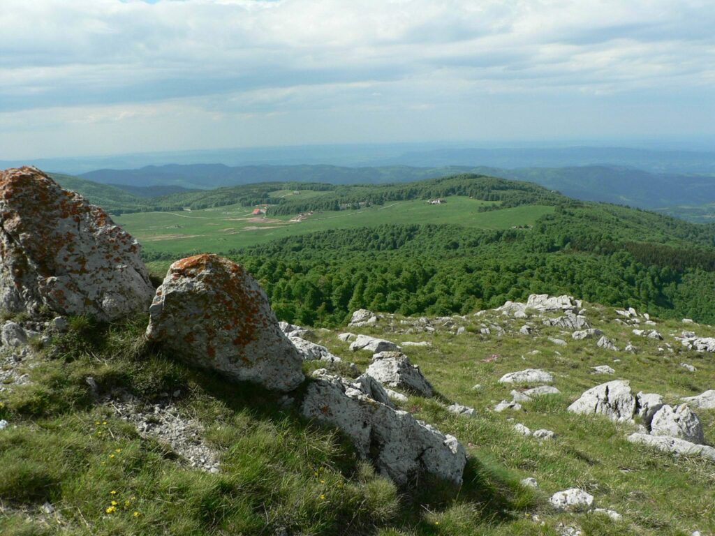 Uzana summer