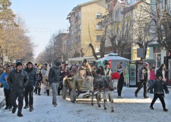 Във Вършец наблягат на червеното вино