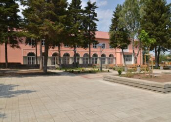 Във Василовци изграждат цех за пелети