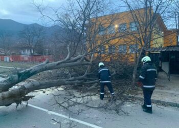 Буря отнесе дървета, тухли, жици и ламарини във Враца