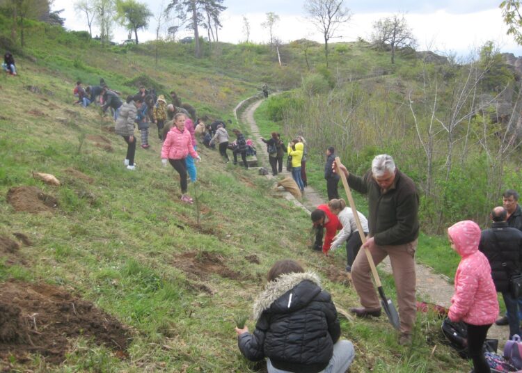 Деца засадиха гора 1 Zalesiavane 3 1