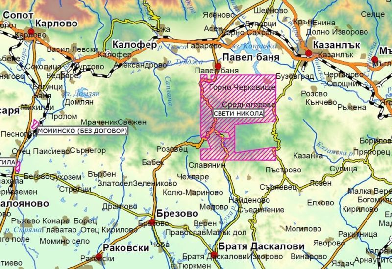 нюз