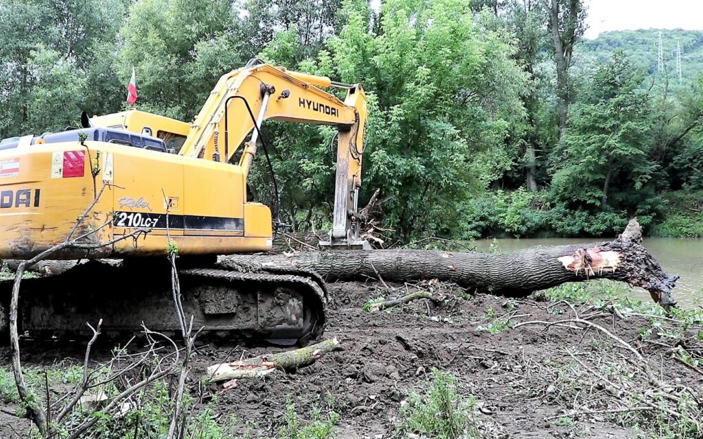Край Велико Търново вадиха повалени от Янтра дървета 1 янтра