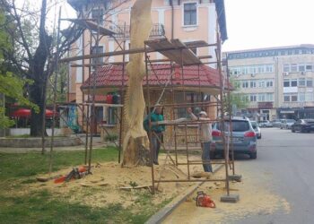 Орел каца във Враца на пл. “Христо Ботев”