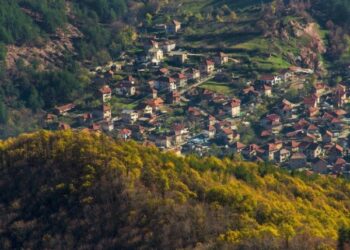 Селата във Враца искат да имат шерифи