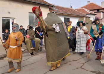 Камилата Василка представя Северозапада на фестивала “Сурва”