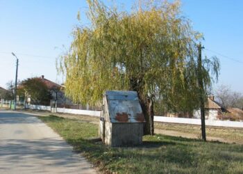 Бежанци нахлуват и в снежното Киреево