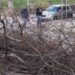 Вятърът кърти дървета и мазилки във Варна 9 Вятърът кърти дървета и мазилки във Варна