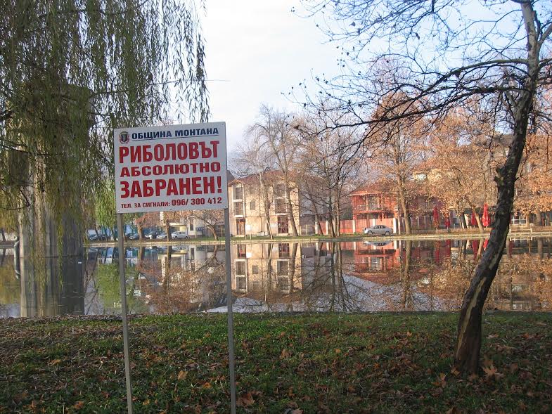Нападнаха шараните в езерото „Монтанезиум” 2 D0 B5 D0 B7 D0 B5 D1 80 D0 BE D0 BC D0 BE D0 BD D1 82 D0 B0 D0 BD D0 B0
