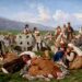 Изложба в памет на Мърквичка в Стара Загора