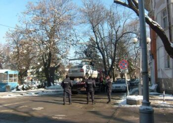 Паякът в Кюстендил се събуди след 5 месеца