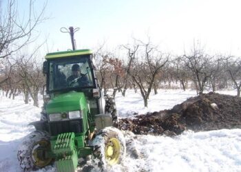 Монаси торят градини в студа
