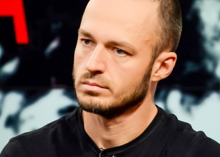Стойчев политолог