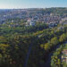 Велико Търново е по-цветeн и зелен с 50 000 дръвчета и цветя