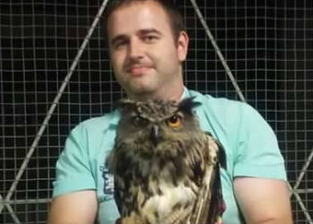 Ранен бухал спасиха в Завет