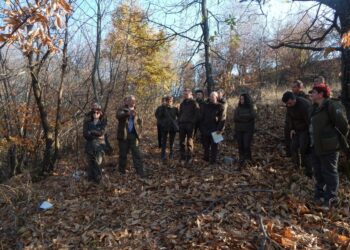 Експерти от Европа ще огледат щетите от пожара в Кресна