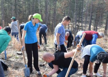 200 дървета засадиха 230 доброволци от ЧЕЗ край с.Росоман