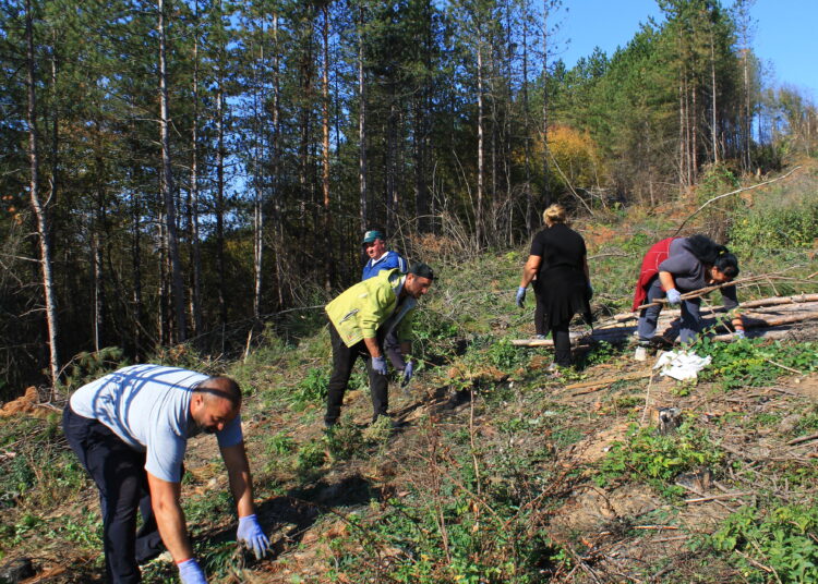 Залесяват 80 дка нова гола край преславското село Ловец 1 на терена1
