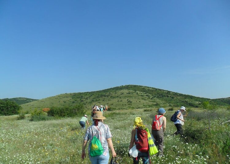 ст загора