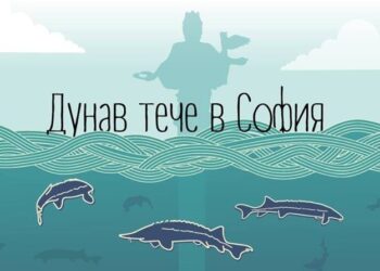 5-метрови риби ще плуват на 3D шоу “Дунав тече в София”