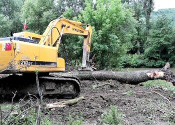 Край Велико Търново вадиха повалени от Янтра дървета