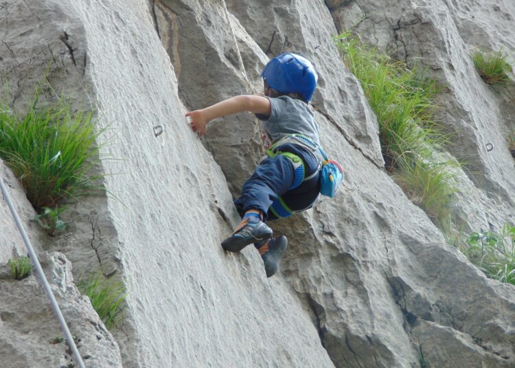 alp2