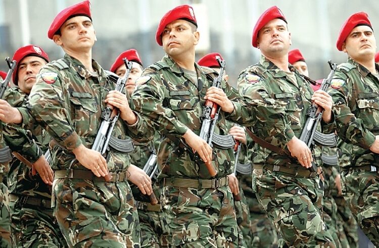 Мъжете в българската армия с право на бащинство 1 armiq 4