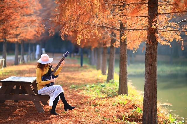 Слънчево, но студено 1 autumn 3816357 640 2