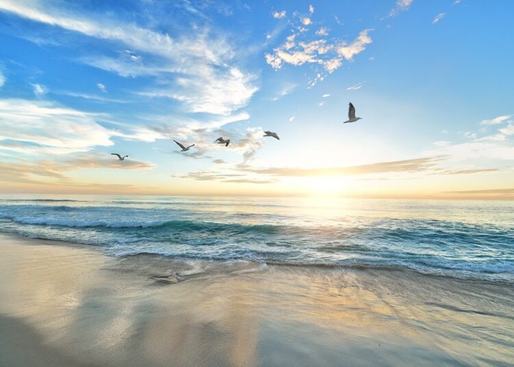 beach 1852945 960 720 12