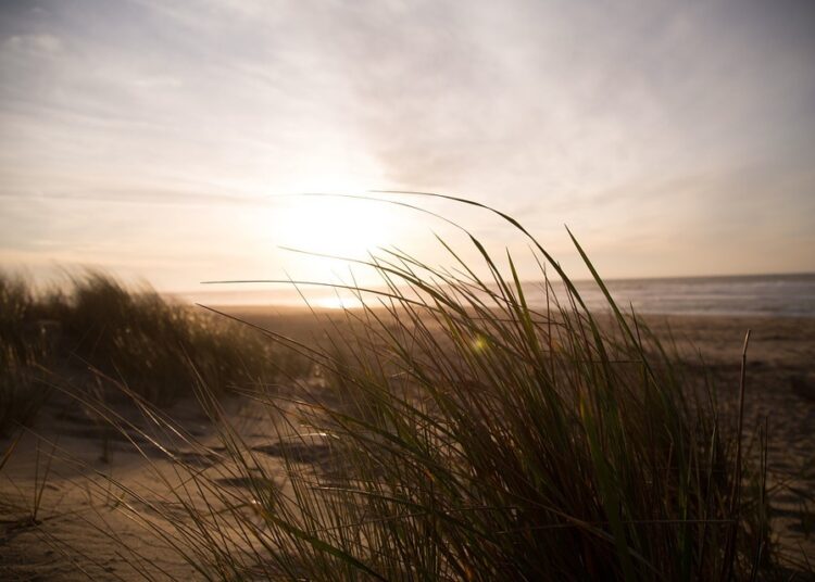 beach 690455 960 720 1