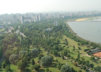 Пръскат против кърлежи в Бургас от понеделник