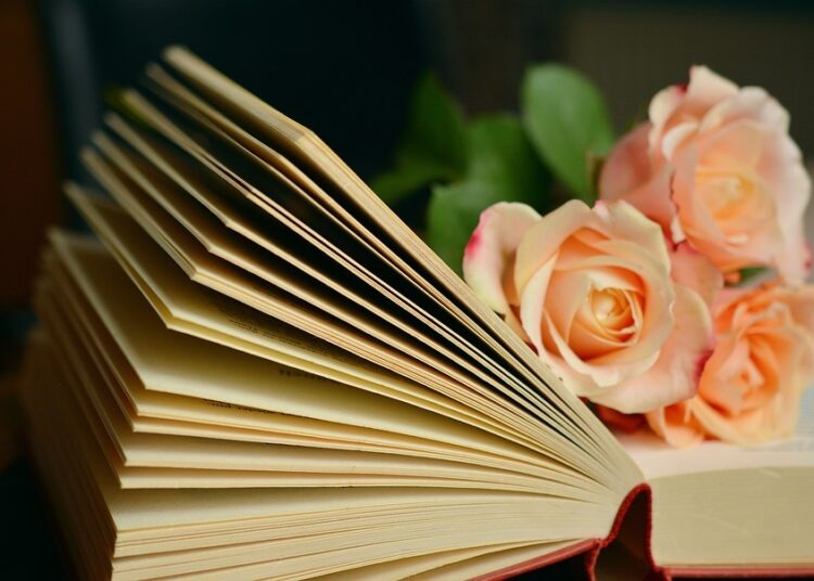 book 1769228 960 720 7