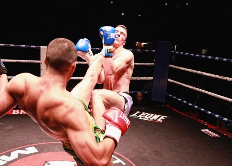 Кикбоксьорите ни грабнаха 22 златни медала 1 boxing 2206273 960 720