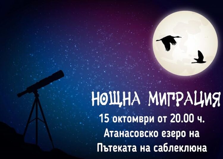 Нощна миграция на птици събира стотици тази вечер 1 burgas 4 1