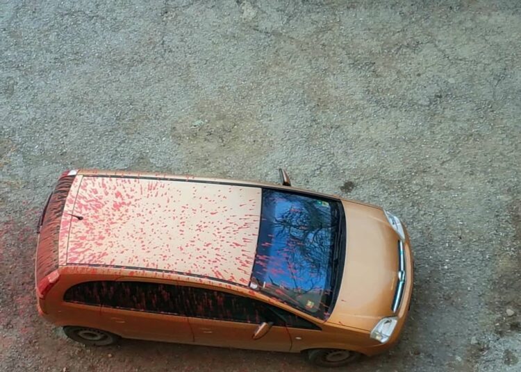 Нощни хулигани мацат автомобили с боя 1 car 2