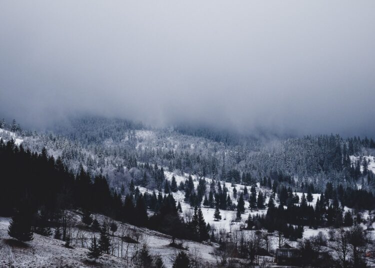 ciprian boiciuc fkxPkjnu M0 unsplash