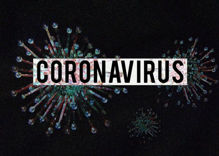 coronavirus 4923544 1920