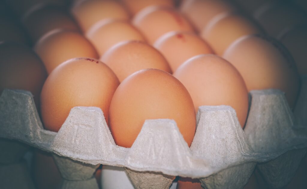 egg 4059957 1920